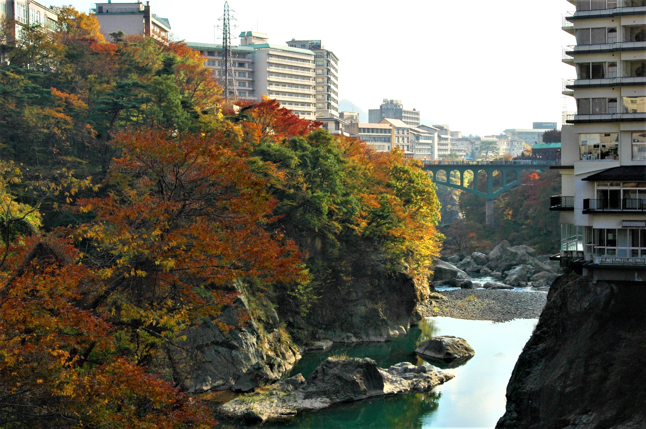 基本情報