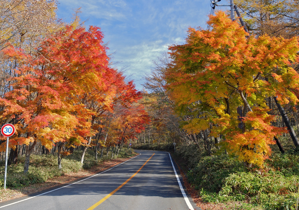 紅葉状況 - 開花情報 | 【公式】日光市の観光サイト　日光旅ナビ